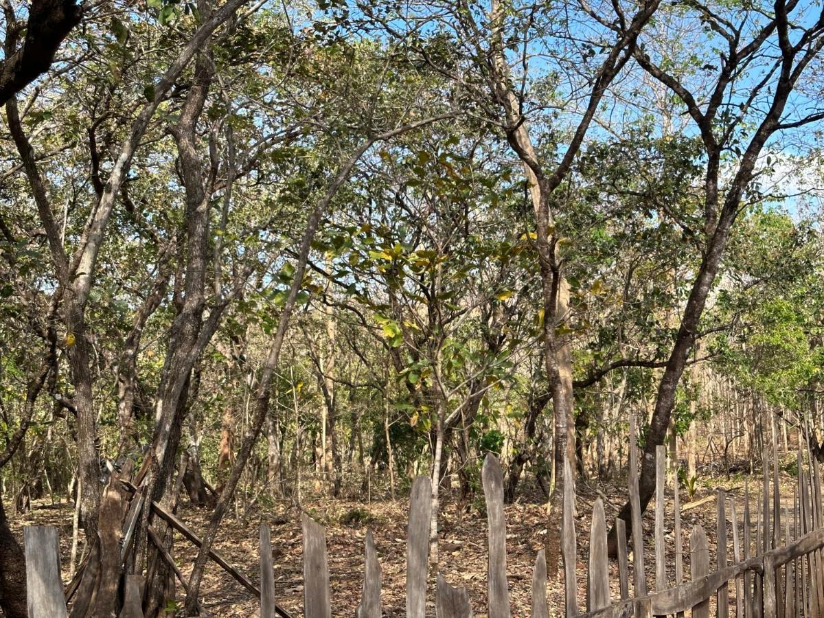 Finca Avellanas Lorena Ngoại thất bức ảnh