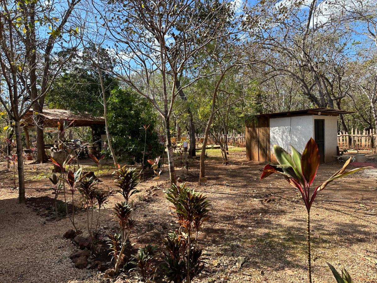 Finca Avellanas Lorena Ngoại thất bức ảnh