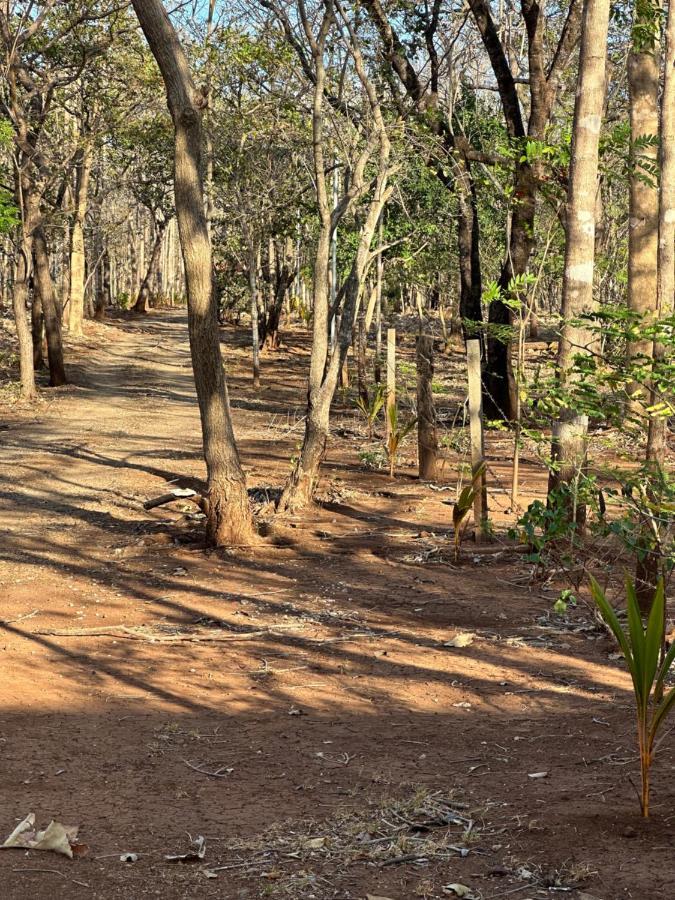 Finca Avellanas Lorena Ngoại thất bức ảnh