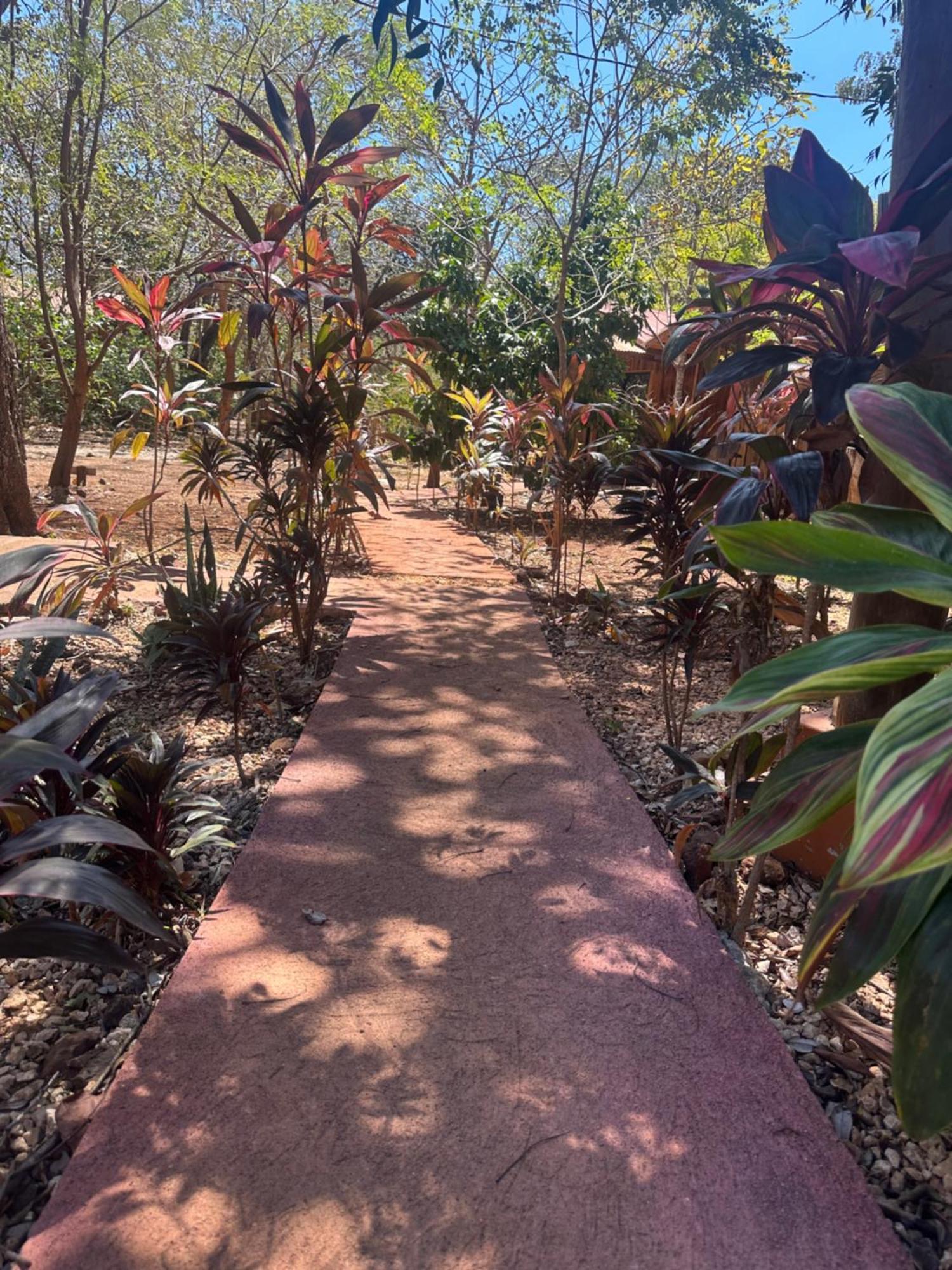Finca Avellanas Lorena Ngoại thất bức ảnh