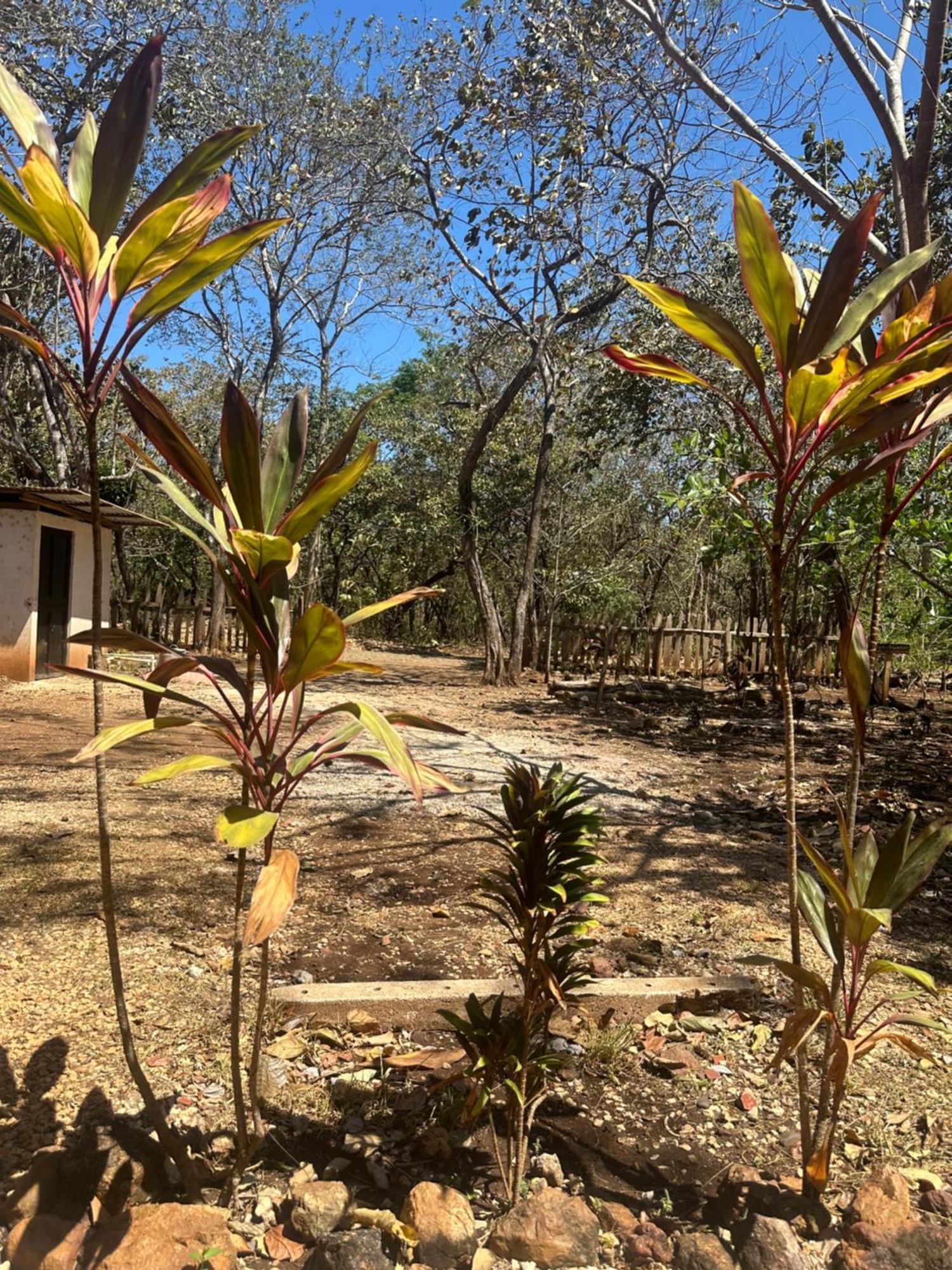Finca Avellanas Lorena Ngoại thất bức ảnh
