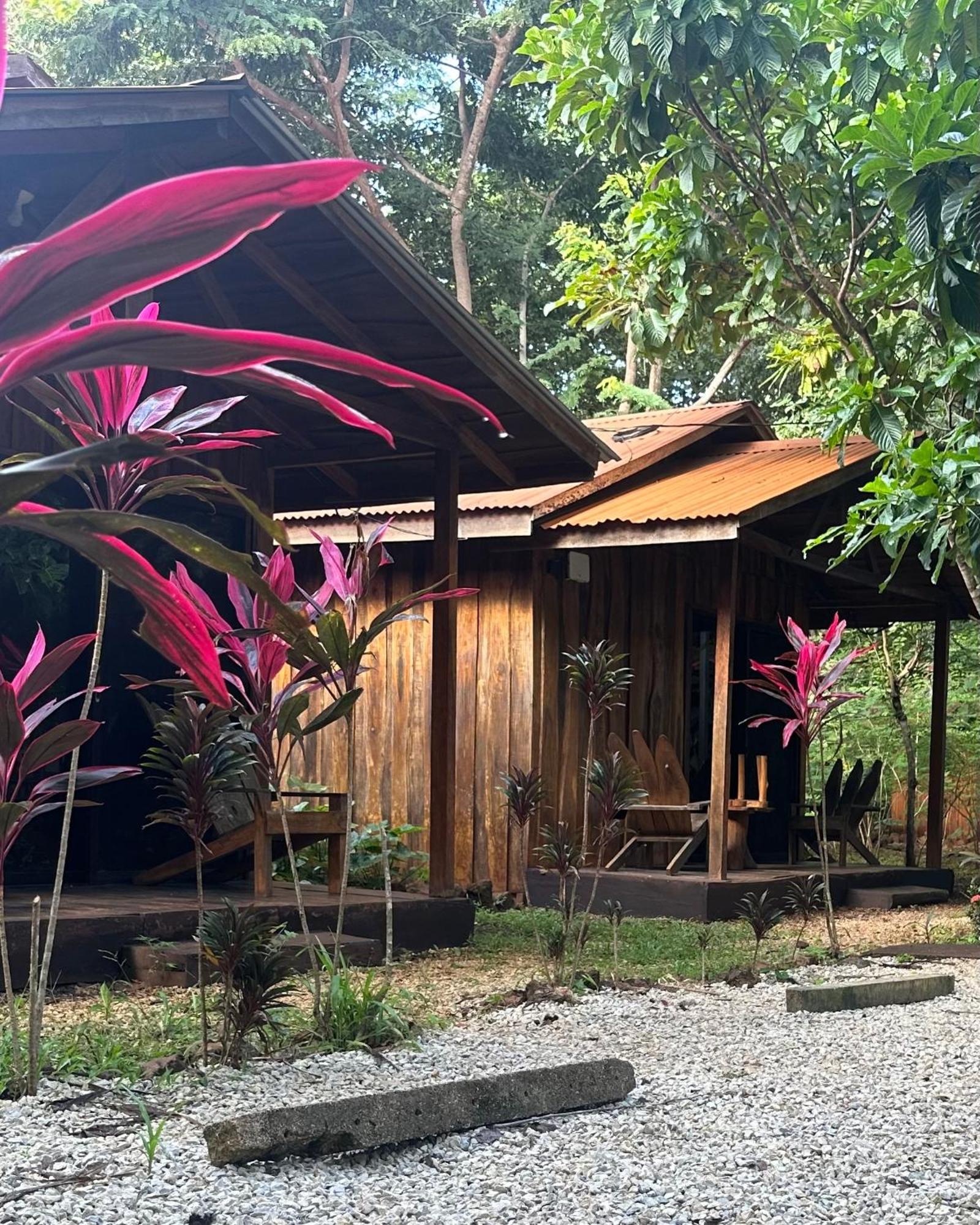 Finca Avellanas Lorena Ngoại thất bức ảnh