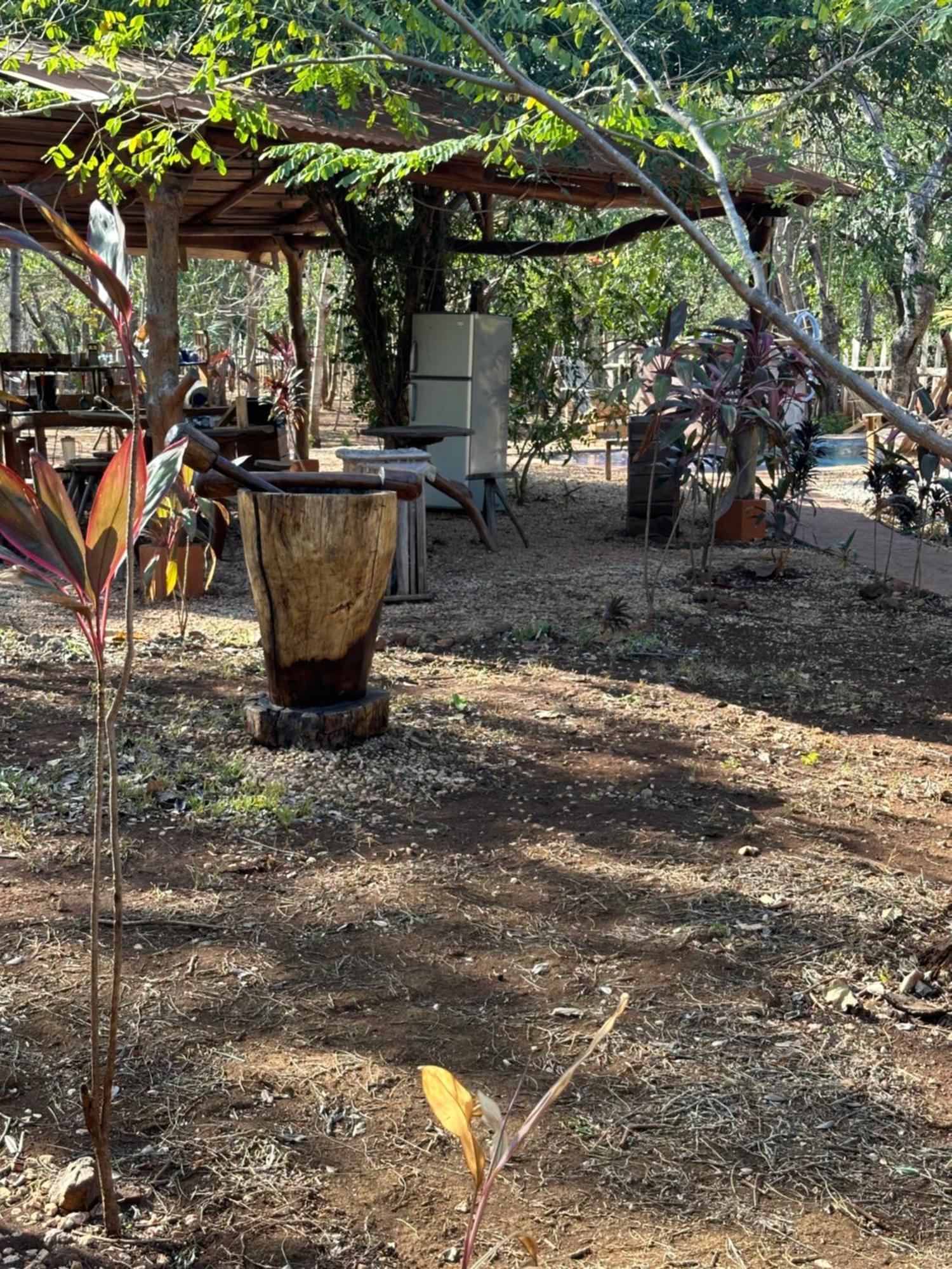Finca Avellanas Lorena Ngoại thất bức ảnh