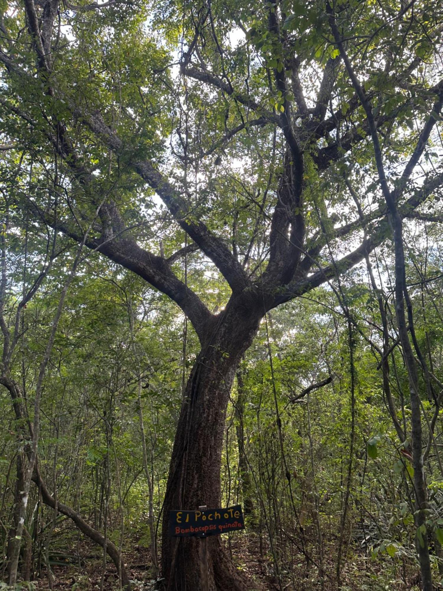 Finca Avellanas Lorena Ngoại thất bức ảnh