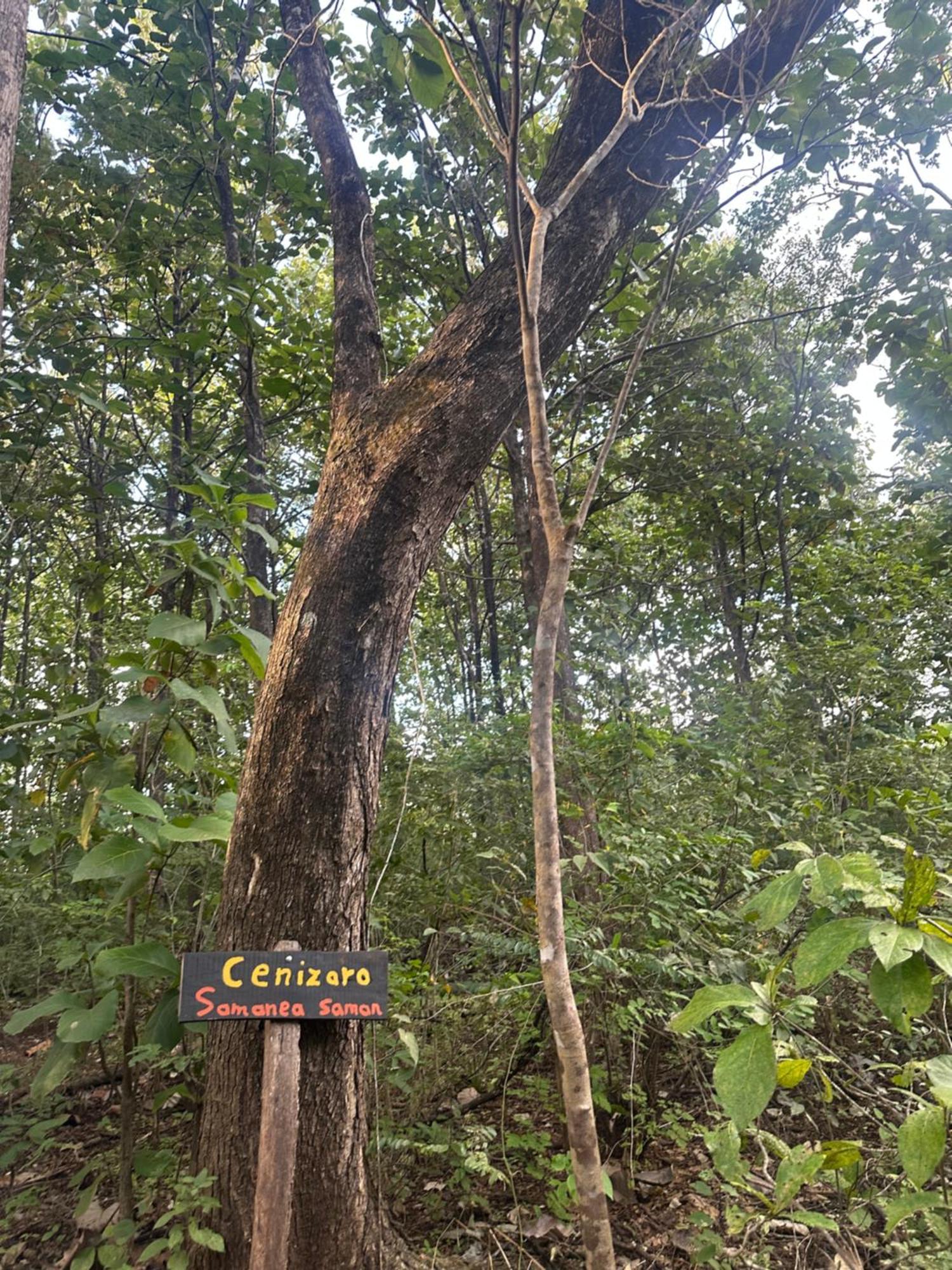 Finca Avellanas Lorena Ngoại thất bức ảnh