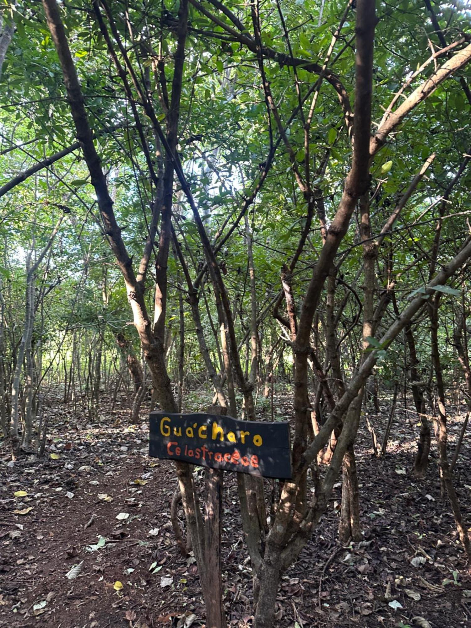 Finca Avellanas Lorena Ngoại thất bức ảnh